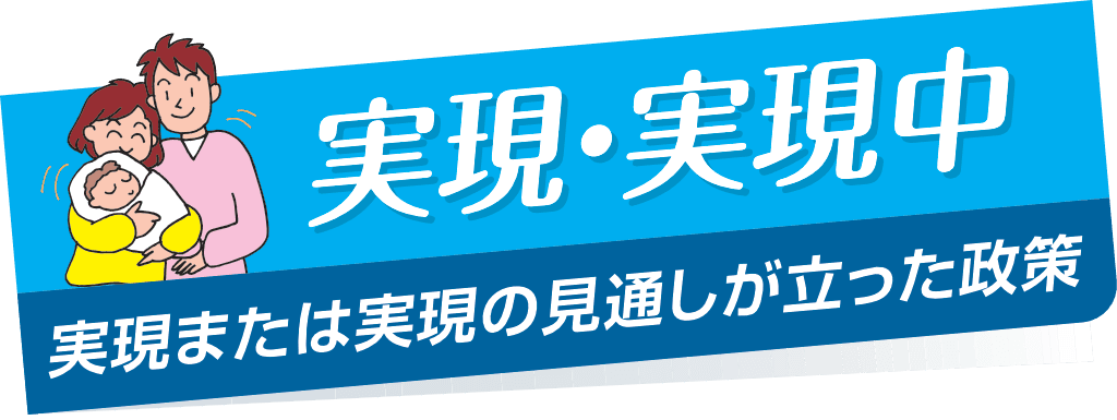 実現または実現の見通しが立った政策